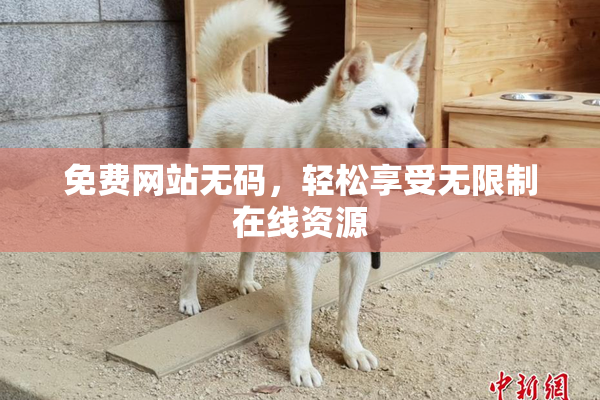 免费网站无码，轻松享受无限制在线资源