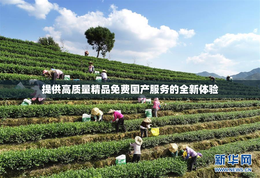 提供高质量精品免费国产服务的全新体验