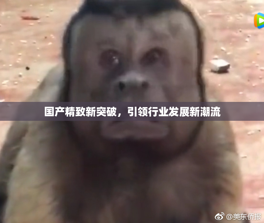 国产精致新突破，引领行业发展新潮流