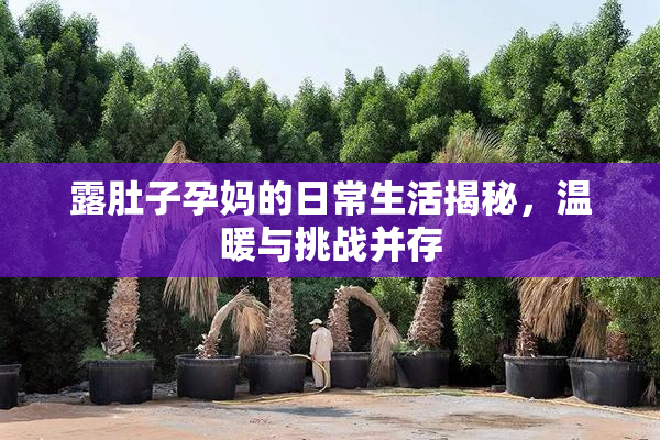 露肚子孕妈的日常生活揭秘，温暖与挑战并存
