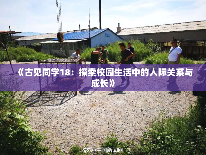 《古见同学18：探索校园生活中的人际关系与成长》