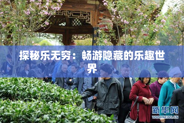 探秘乐无穷：畅游隐藏的乐趣世界