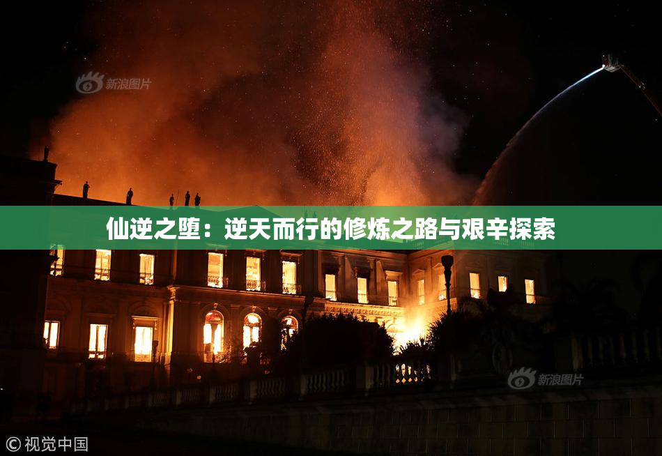 仙逆之堕：逆天而行的修炼之路与艰辛探索