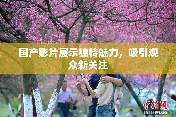 国产影片展示独特魅力，吸引观众新关注