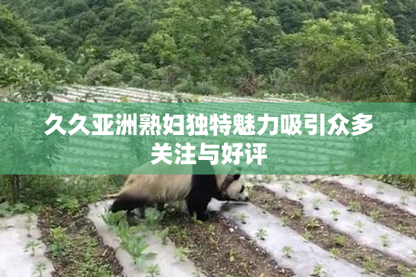 久久亚洲熟妇独特魅力吸引众多关注与好评