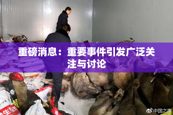 重磅消息：重要事件引发广泛关注与讨论