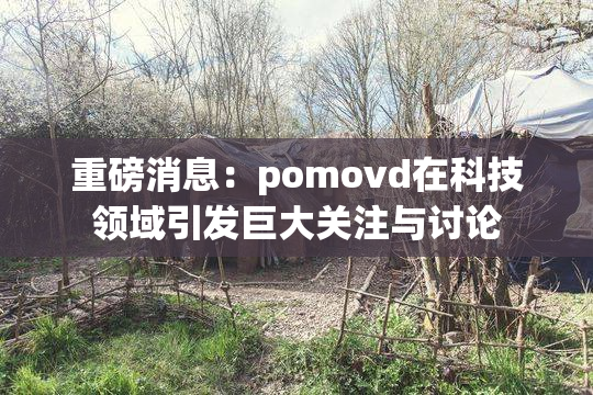 重磅消息：pomovd在科技领域引发巨大关注与讨论