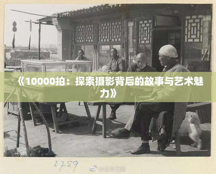 《10000拍：探索摄影背后的故事与艺术魅力》