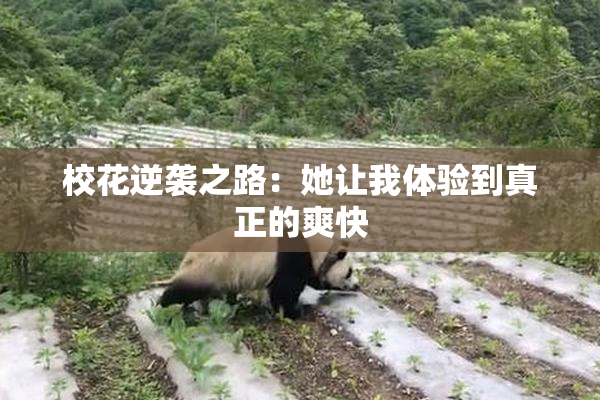 校花逆袭之路：她让我体验到真正的爽快