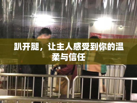 趴开腿，让主人感受到你的温柔与信任