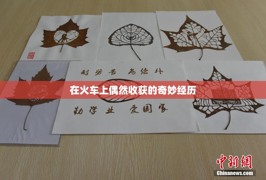 在火车上偶然收获的奇妙经历