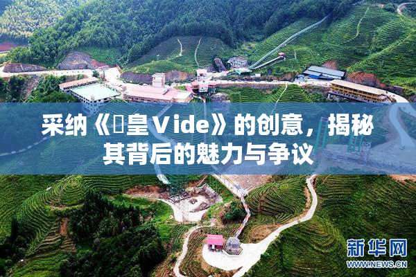 采纳《嘼皇Ⅴide》的创意，揭秘其背后的魅力与争议
