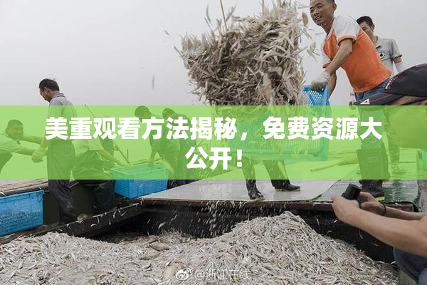 美重观看方法揭秘，免费资源大公开！