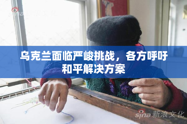 乌克兰面临严峻挑战，各方呼吁和平解决方案