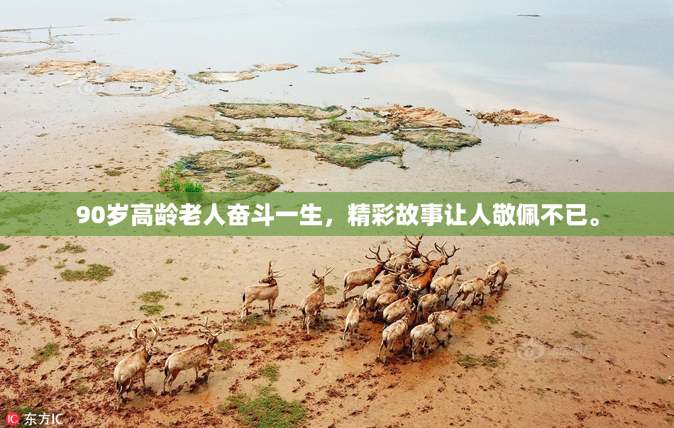 90岁高龄老人奋斗一生，精彩故事让人敬佩不已。