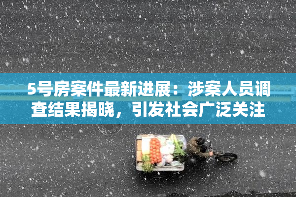 5号房案件最新进展：涉案人员调查结果揭晓，引发社会广泛关注