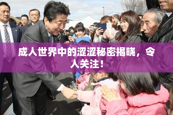 成人世界中的涩涩秘密揭晓，令人关注！