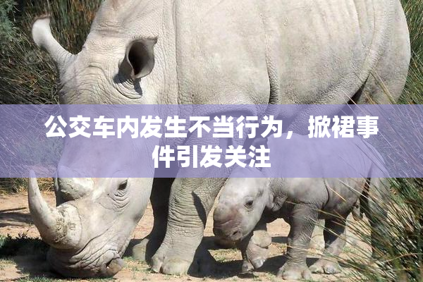公交车内发生不当行为，掀裙事件引发关注