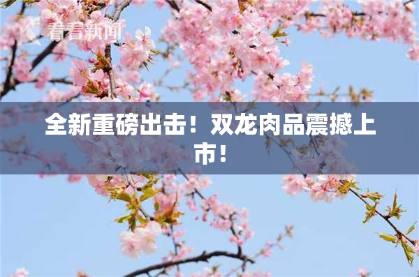 全新重磅出击！双龙肉品震撼上市！
