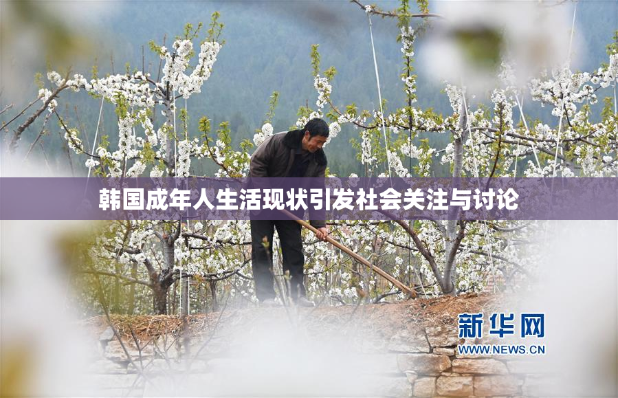韩国成年人生活现状引发社会关注与讨论