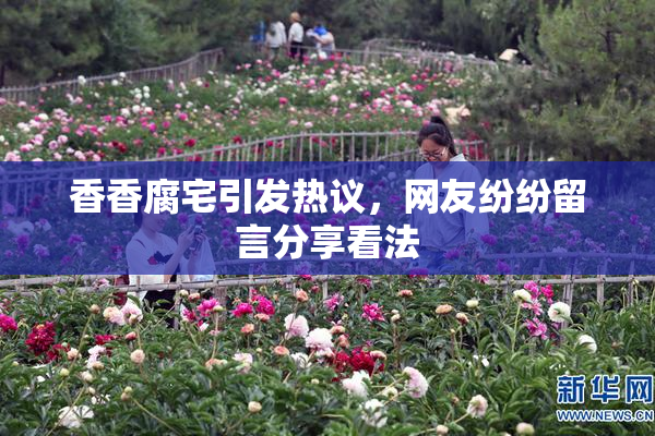 香香腐宅引发热议，网友纷纷留言分享看法