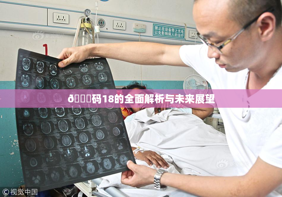 🈚码18的全面解析与未来展望
