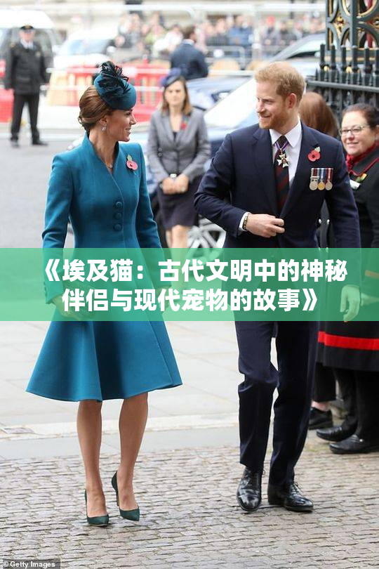 《埃及猫：古代文明中的神秘伴侣与现代宠物的故事》