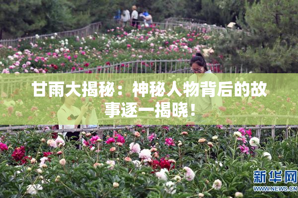 甘雨大揭秘：神秘人物背后的故事逐一揭晓！
