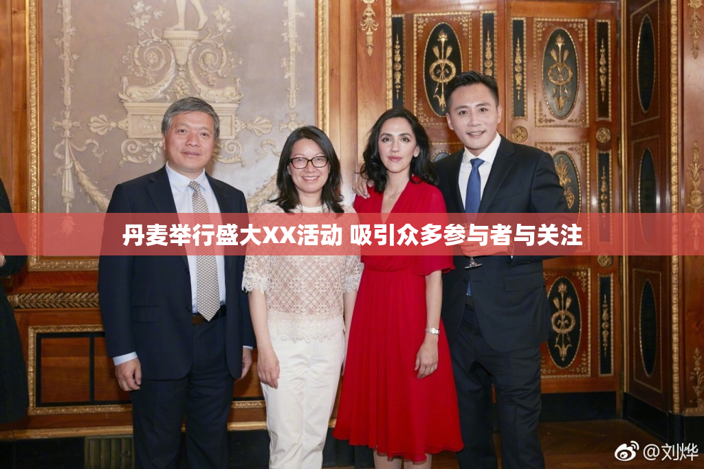 丹麦举行盛大XX活动 吸引众多参与者与关注