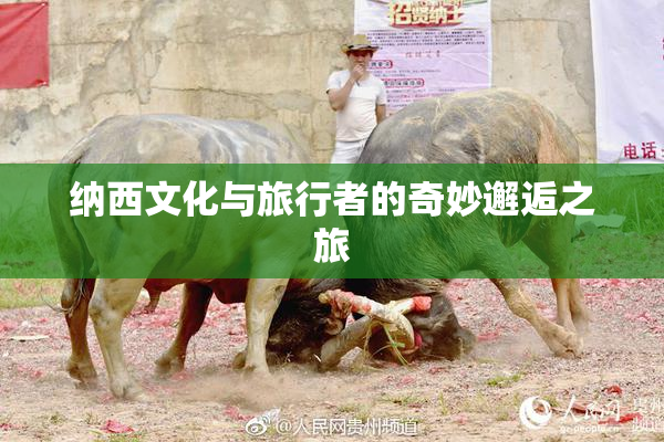 纳西文化与旅行者的奇妙邂逅之旅