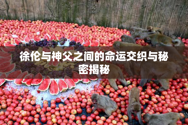徐伦与神父之间的命运交织与秘密揭秘