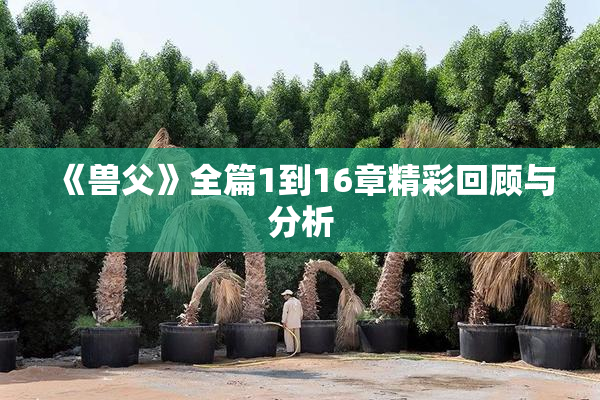 《兽父》全篇1到16章精彩回顾与分析