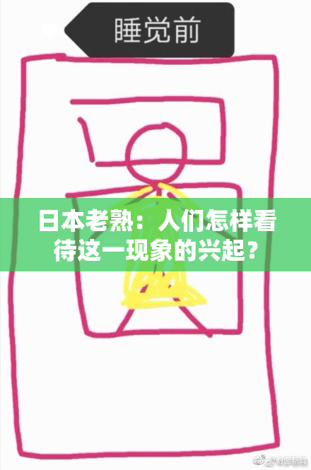 日本老熟：人们怎样看待这一现象的兴起？