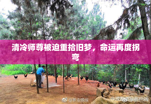 清冷师尊被迫重拾旧梦，命运再度拐弯