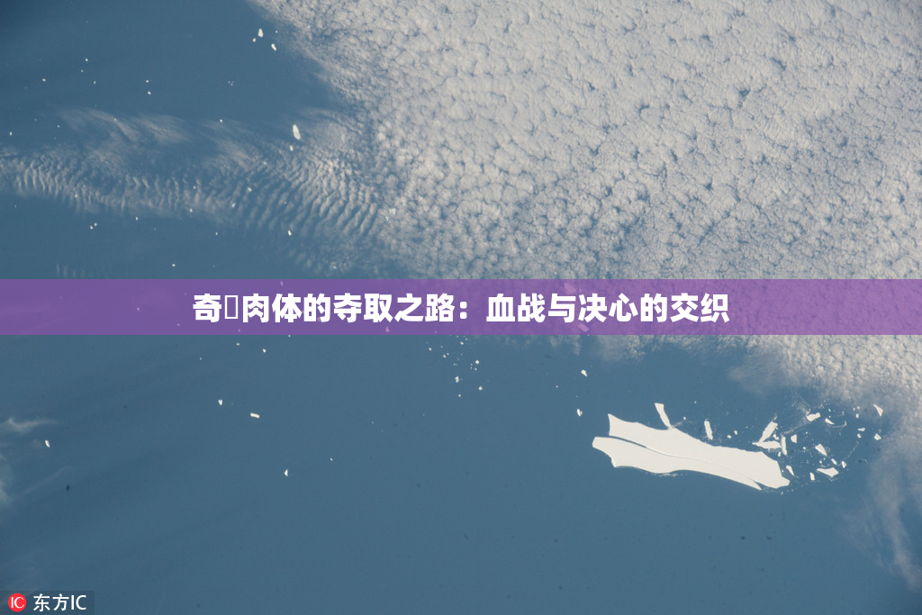 奇犽肉体的夺取之路：血战与决心的交织