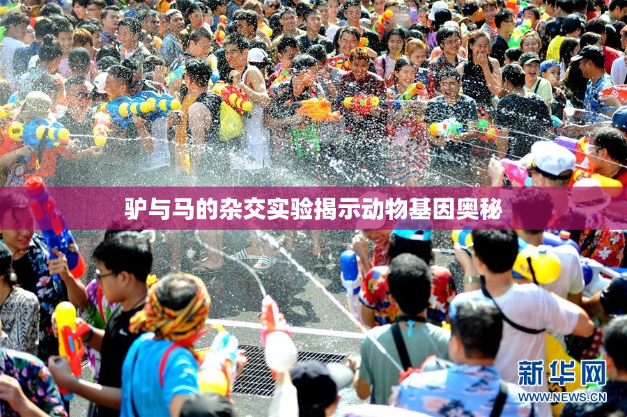 驴与马的杂交实验揭示动物基因奥秘