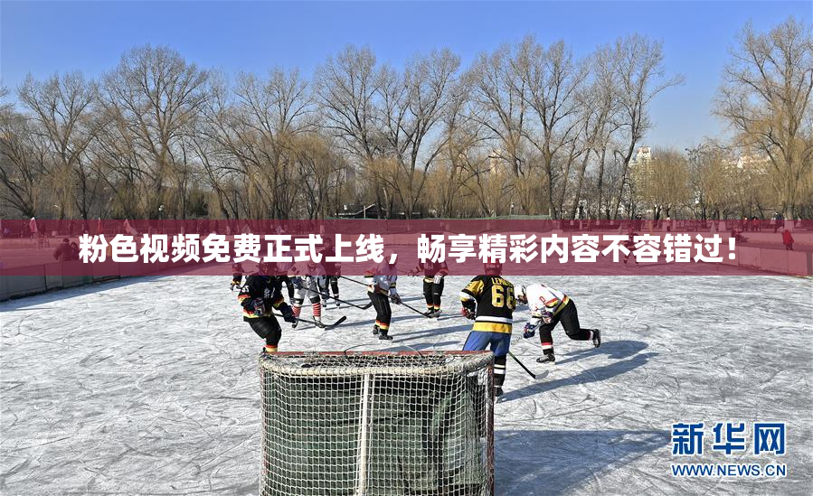 粉色视频免费正式上线，畅享精彩内容不容错过！