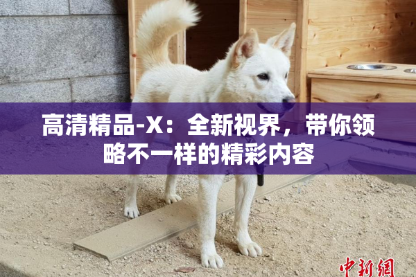 高清精品-X：全新视界，带你领略不一样的精彩内容