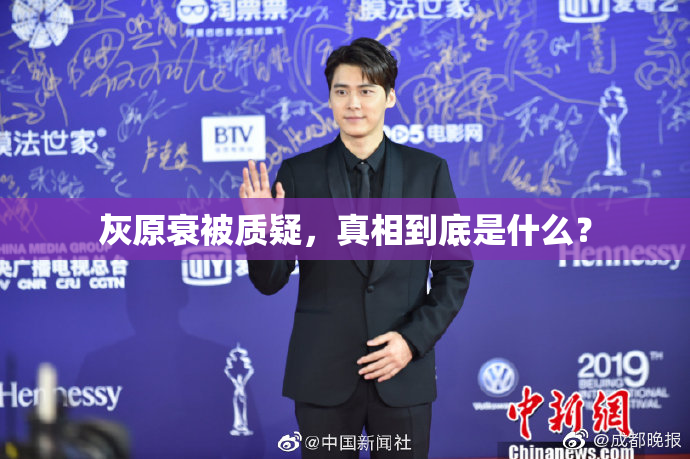 灰原衰被质疑，真相到底是什么？