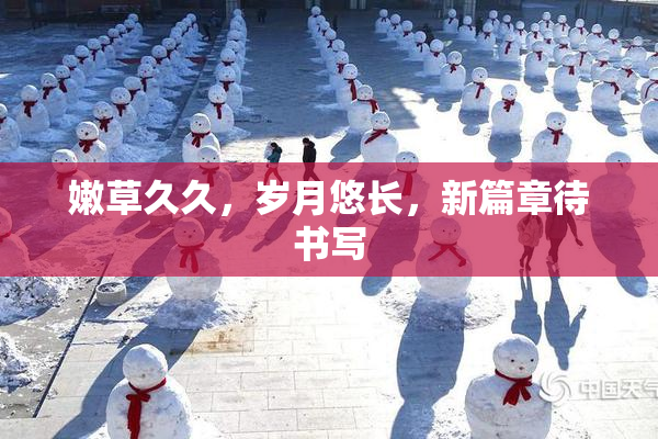 嫩草久久，岁月悠长，新篇章待书写