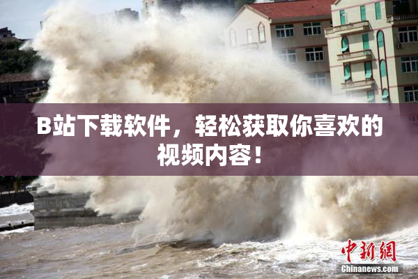 B站下载软件，轻松获取你喜欢的视频内容！