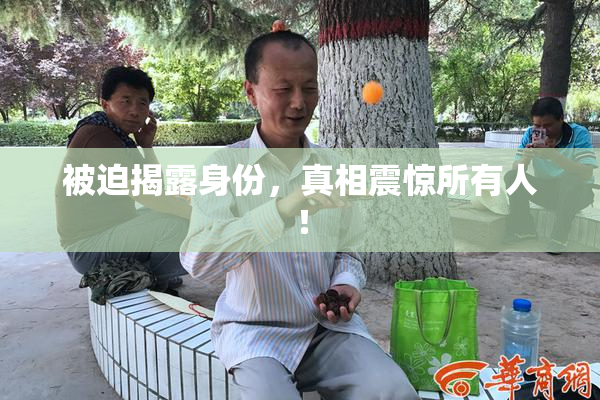 被迫揭露身份，真相震惊所有人！