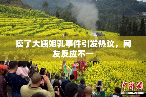 摸了大姨姐乳事件引发热议，网友反应不一