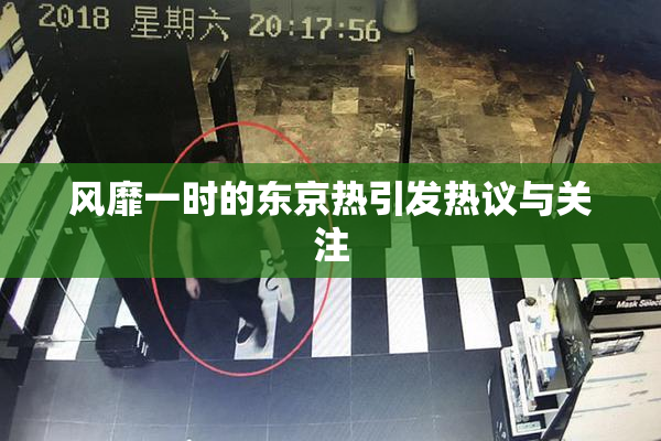 风靡一时的东京热引发热议与关注