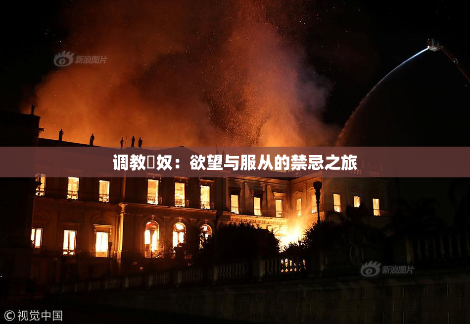 调教婬奴：欲望与服从的禁忌之旅