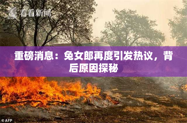 重磅消息：兔女郎再度引发热议，背后原因探秘