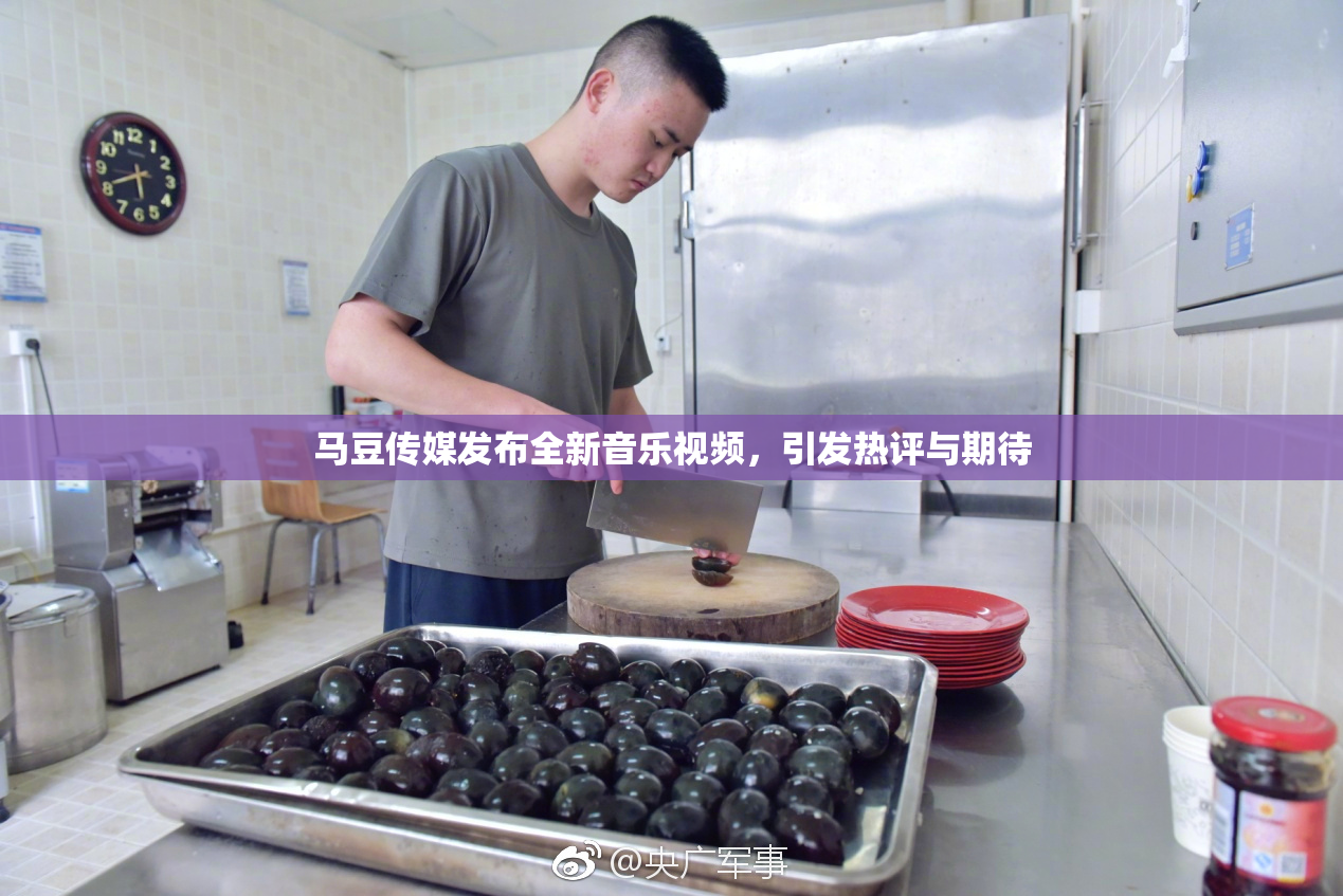 马豆传媒发布全新音乐视频，引发热评与期待