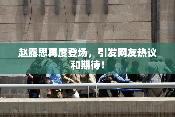 赵露思再度登场，引发网友热议和期待！