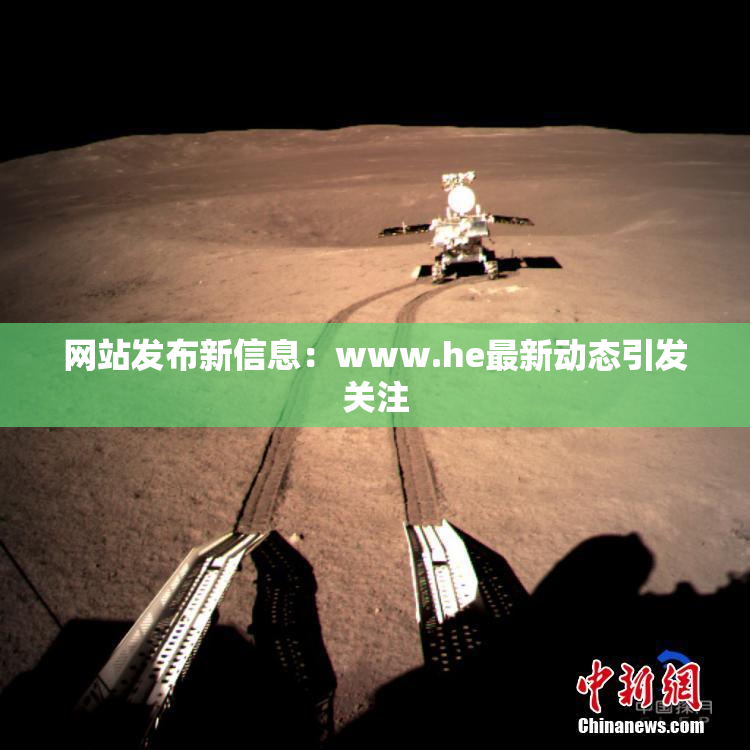 网站发布新信息：www.he最新动态引发关注