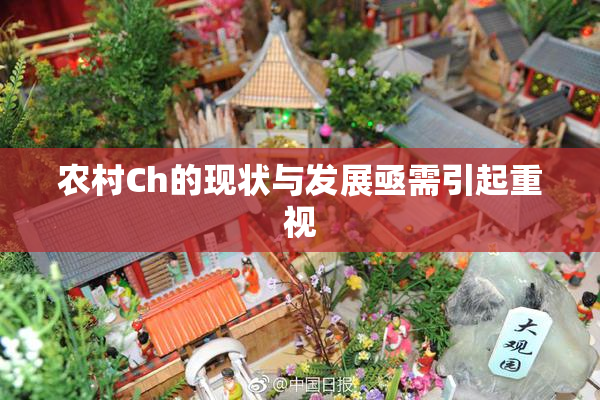 农村Ch的现状与发展亟需引起重视